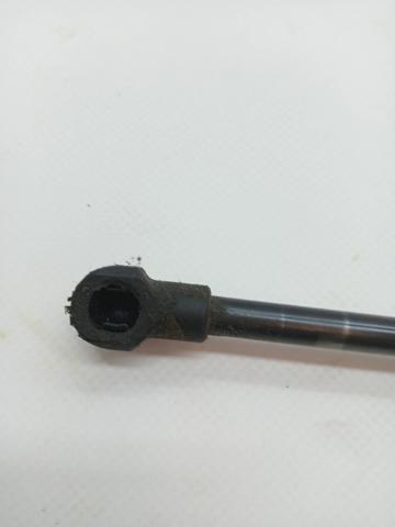 904515874R Amortiguador de la tapa del maletero  disponible Burgos