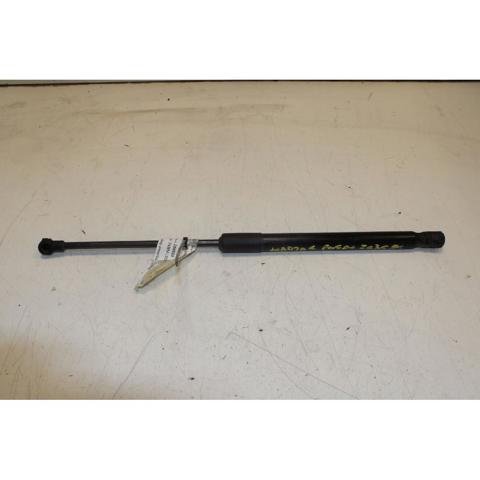 904516026R RENAULT Amortiguador de la tapa del maletero  comprar en Oviedo