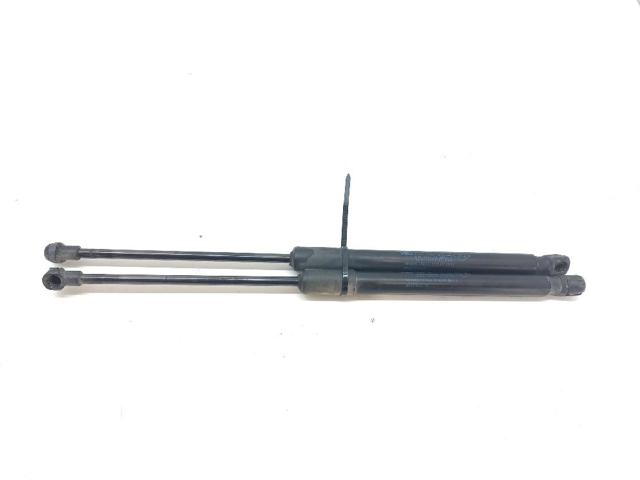 904516026R Amortiguador de la tapa del maletero  comprar en Pontevedra
