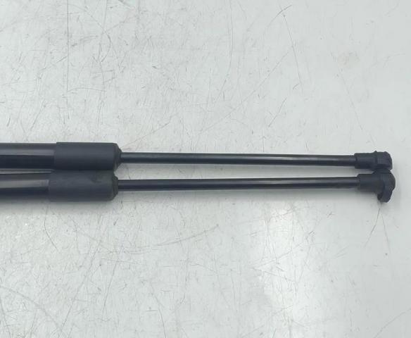 904516026R RENAULT Amortiguador maletero comprar Madrid