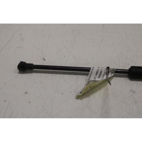 RENAULT 904516026R Amortiguador maletero  en stock Salamanca