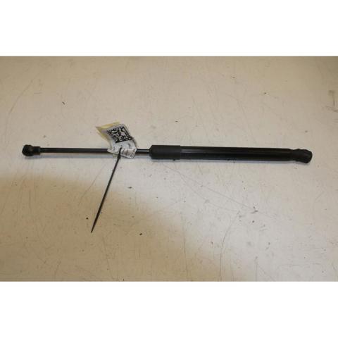 904516026R RENAULT Amortiguador de la tapa del maletero  comprar en Jaén