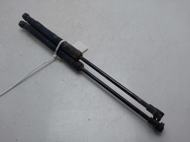 RENAULT 904516026R Amortiguador de la tapa del maletero  comprar en Albacete