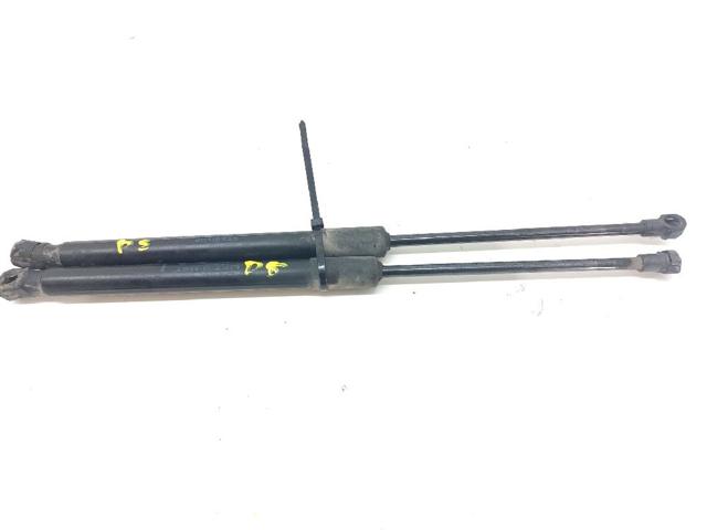 RENAULT 904516026R Amortiguador maletero comprar Pamplona