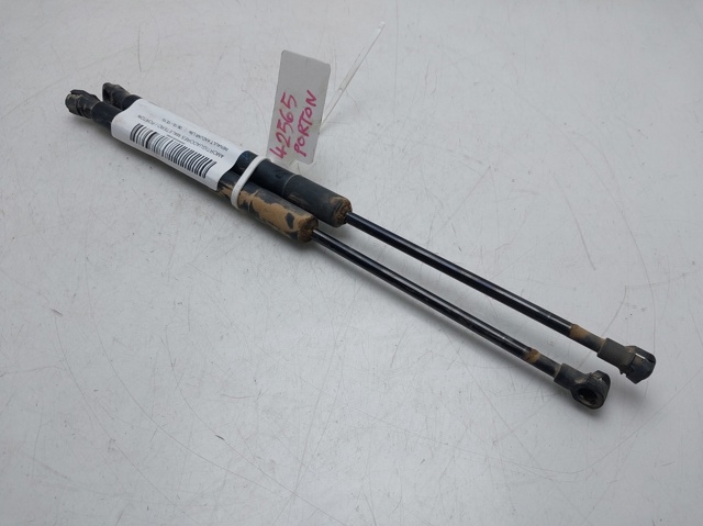 904516026R RENAULT Amortiguador de la tapa del maletero  comprar en Oviedo
