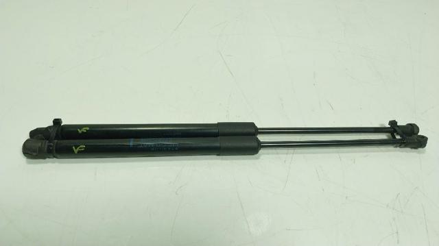 904516026R Amortiguador de la tapa del maletero  comprar en Reus