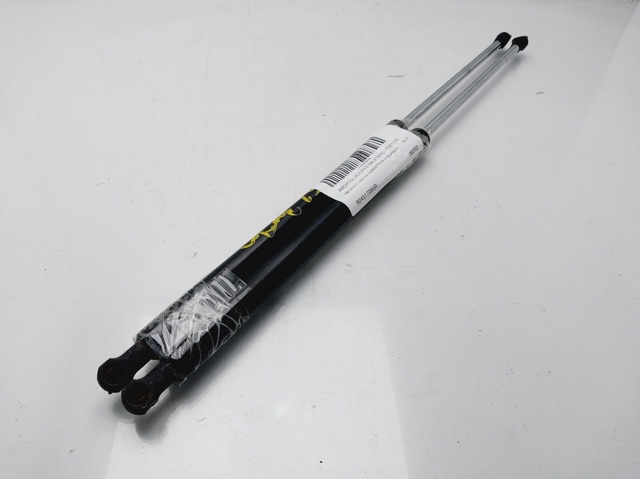 904517086R Renault (RVI)