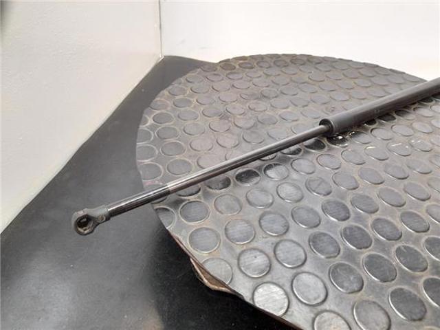 904517337R Amortiguador maletero  en stock Granada