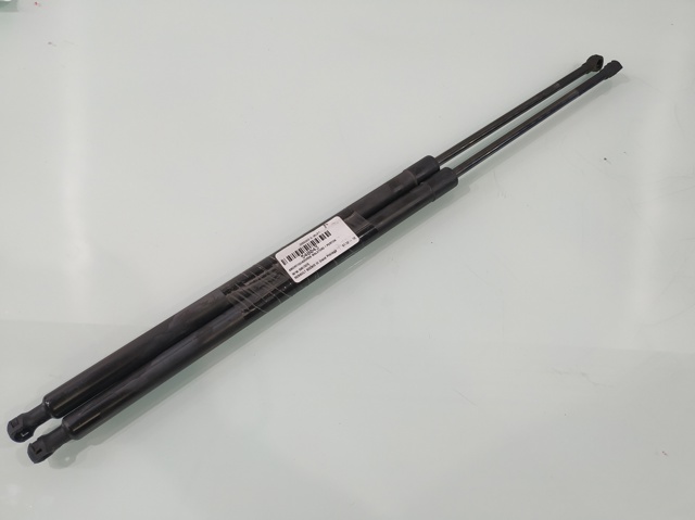 904517337R RENAULT Amortiguador maletero  en stock Córdoba