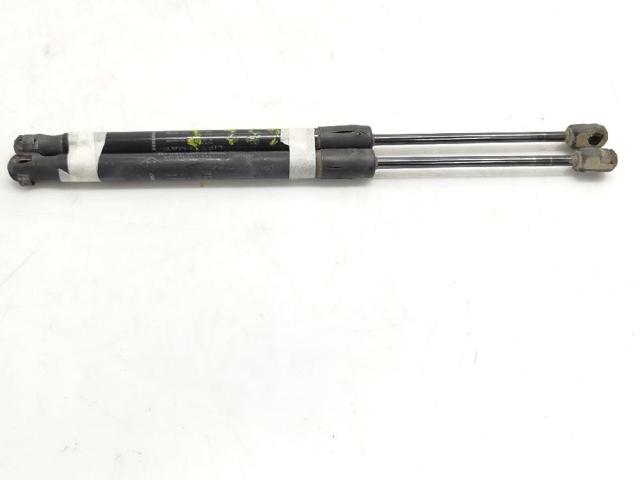Comprar Amortiguador de la tapa del maletero Renault DUSTER I HS a bajo precio