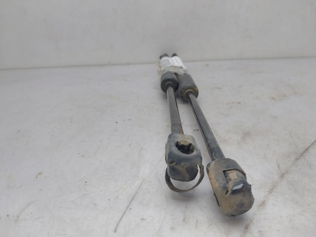 RENAULT 904520004R Amortiguador de la tapa del maletero  comprar en Albacete