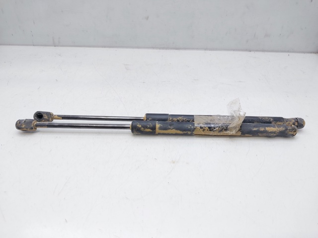 904520004R Amortiguador maletero comprar Sevilla