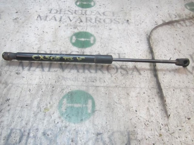RENAULT 904520004R Amortiguador maletero comprar Pamplona