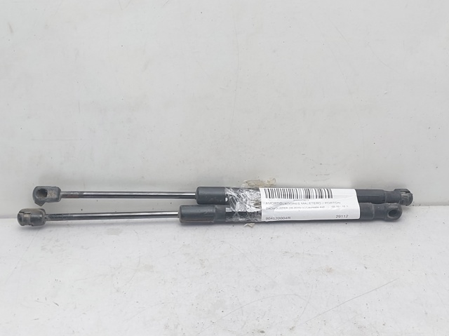 904520004R RENAULT Amortiguador maletero comprar Bilbao
