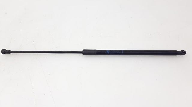 RENAULT 904520004R Amortiguador maletero comprar Pamplona