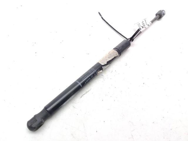 904520004R RENAULT Amortiguador maletero  en stock Córdoba