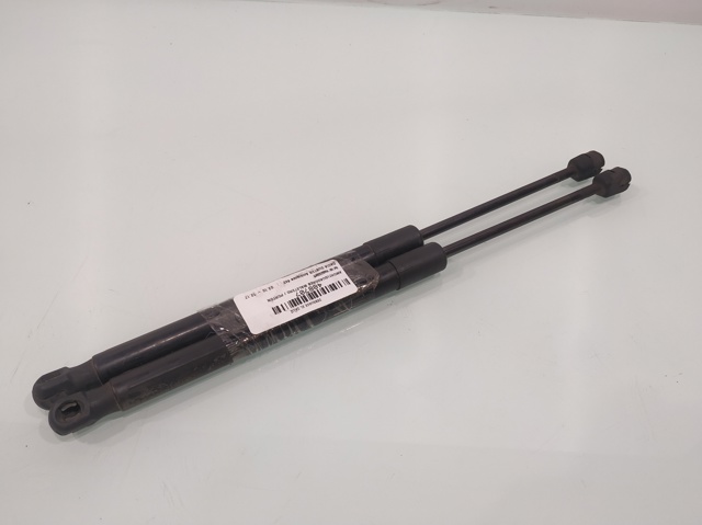 RENAULT 904520004R Amortiguador maletero comprar Barcelona