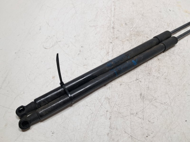 RENAULT 904522228R Amortiguador maletero comprar Barcelona