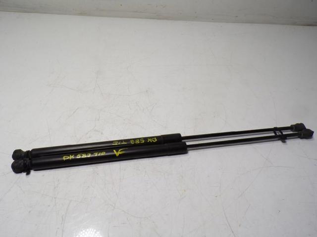 904527457R RENAULT Amortiguador de la tapa del maletero  comprar en Lleida