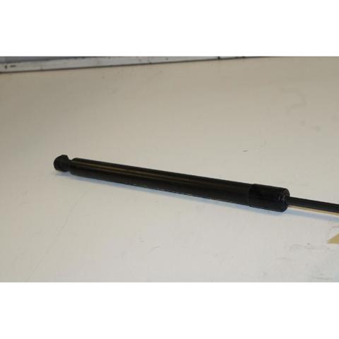 904527457R RENAULT Amortiguador de la tapa del maletero  comprar en Lleida