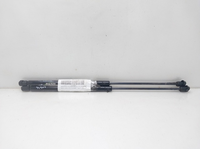 Amortiguador de maletero Renault LOGAN II desde 16,15 €