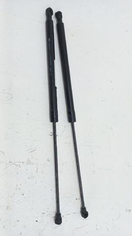 904527457R RENAULT Amortiguador maletero  en stock Huelva