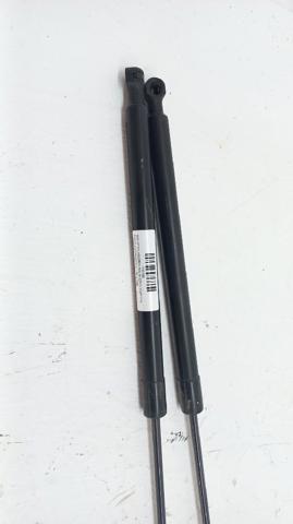 904527457R RENAULT Amortiguador maletero comprar Bilbao