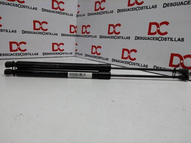 RENAULT 904528093R Amortiguador de la tapa del maletero  comprar en Murcia