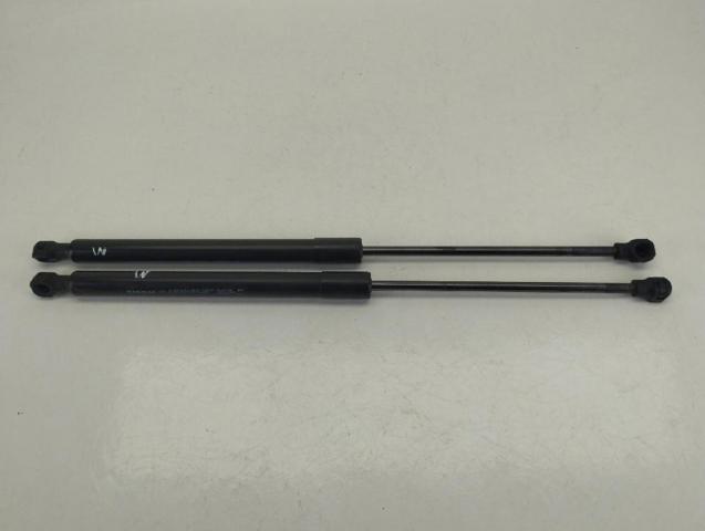 904529943R RENAULT Amortiguador maletero  en stock Córdoba