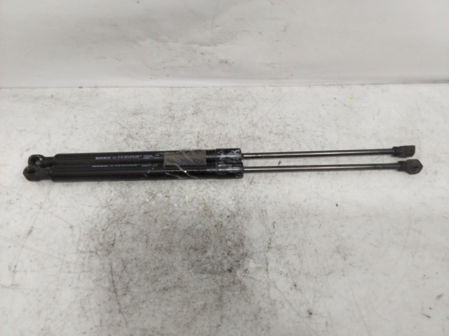 904529943R RENAULT Amortiguador de la tapa del maletero  comprar en Jaén