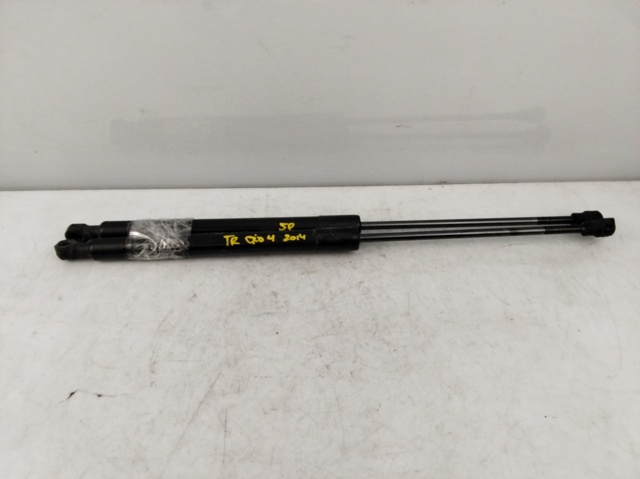 904529943R RENAULT Amortiguador de la tapa del maletero  comprar en Jaén