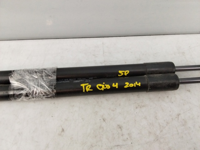 904529943R RENAULT Amortiguador de la tapa del maletero  disponible Ourense