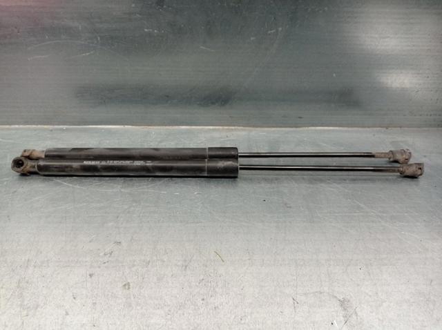 904529943R RENAULT Amortiguador de la tapa del maletero  comprar en Jaén