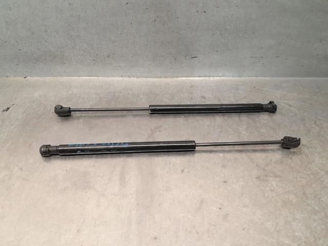 Amortiguador de vidrio de portón trasero (puerta trasera 3/5) 90460EA500 NISSAN