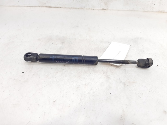 Amortiguadores de capó Opel Vectra  (36)