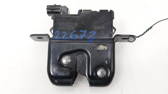 905030010R Renault (RVI)