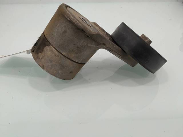Tensor de correa, correa poli V Opel Zafira F75