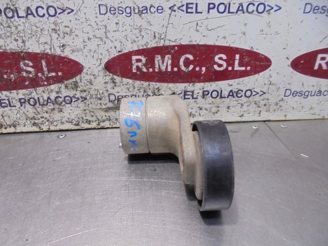 Tensor de correa, correa poli V Opel Zafira F75