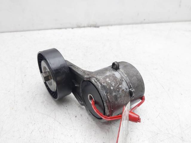 Tensor de correa, correa poli V Opel Zafira F75