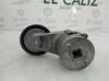Tensor de correa, correa poli V Opel Zafira F75