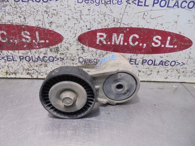 Tensor de correa, correa poli V Opel Zafira F75