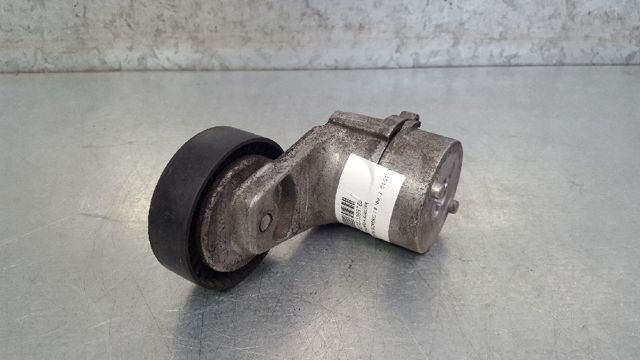 Tensor de correa, correa poli V Opel Zafira F75