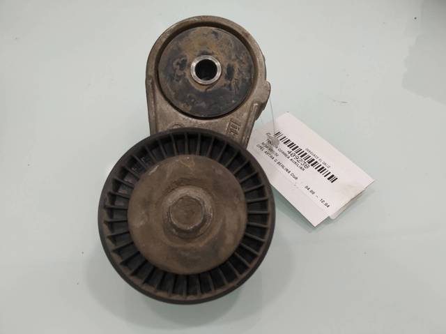 Tensor de correa, correa poli V Opel Zafira F75