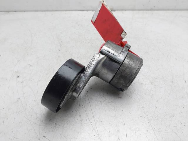 Tensor de correa, correa poli V Opel Zafira F75