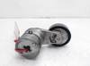 Tensor de correa, correa poli V Opel Zafira F75