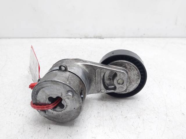 Tensor de correa, correa poli V Opel Zafira F75