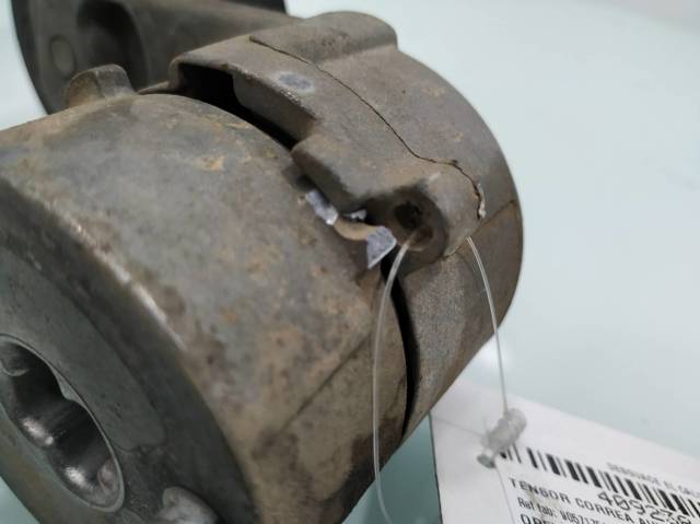 Tensor de correa, correa poli V Opel Zafira F75