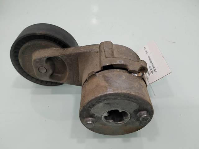 Tensor de correa, correa poli V Opel Zafira F75