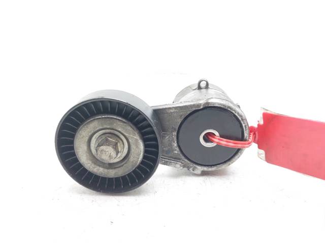 Tensor de correa, correa poli V Opel Zafira F75
