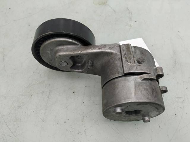 Tensor de correa, correa poli V Opel Zafira F75